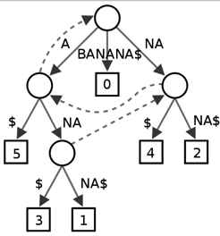 Trie树和其它数据结构的比较
