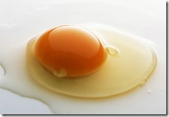 egg