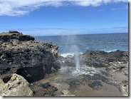IMG_6873