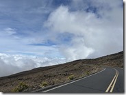 IMG_7313