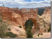IMG_1849
