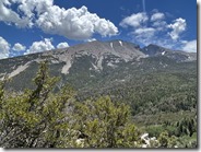 IMG_1992
