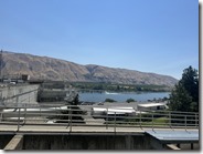 IMG_2572