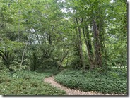 IMG_3070