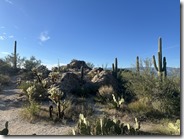IMG_3581